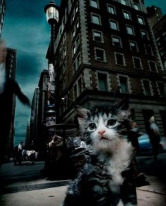 �������� �������� ��������